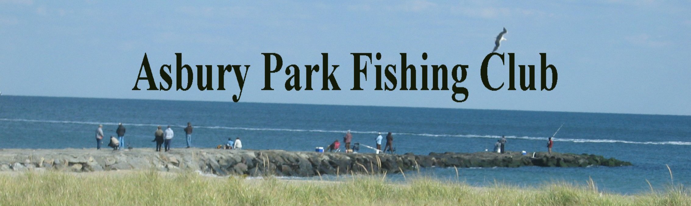 Asbury Park Fishing Club's Web Page